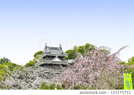 Nishio City Historical Park (early April) Honmaru Ushitora Yagura Nishio City Historical Park (early April) Honmaru Ushitora Yagura 125175731