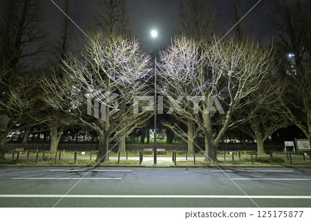 Meiji Jingu Gaien 125175877