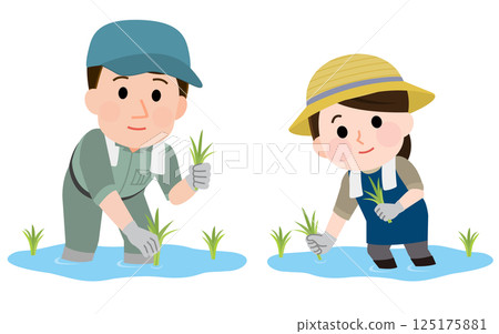 Man Planting Rice Vector Illustration of men and women planting rice,... - Stock Illustration ...