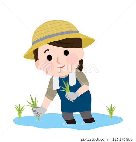 Female farmer planting rice illustration - Stock Illustration ...