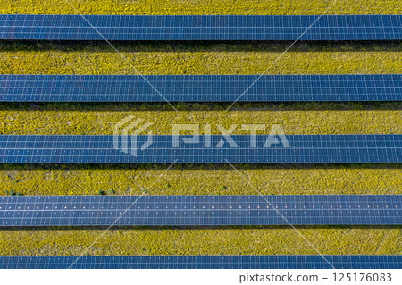 Solar panels in bright light, drone aerial view Solar panels in bright light, drone aerial view 125176083