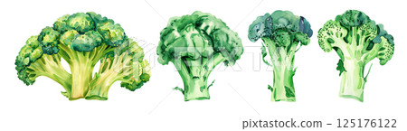 Set of fresh vegetable, green broccoli in watercolor style isolated on a transparent background. Set of fresh vegetable, green broccoli in watercolor style isolated on a transparent background. 125176122