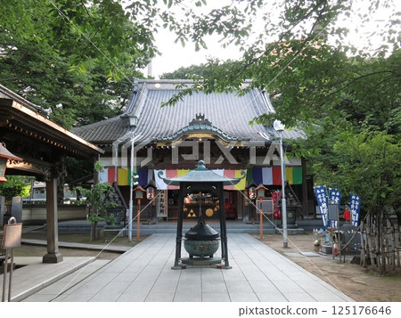 川越市蓮慶寺的丼龍堂 川越市蓮慶寺的丼龍堂 125176646