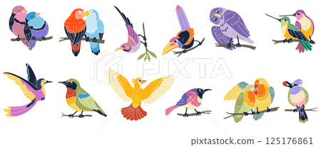 Bird icon. Grassland spring symbol. Cute fowl with feather animal. Funny birdie in nature forest. Character on branch, lovebirds couple, bullfinch and parrot cartoon kids illustration. Vector set Bird icon. Grassland spring symbol. Cute fowl with feather animal. Funny birdie in nature forest. Character on branch, lovebirds couple, bullfinch and parrot cartoon kids illustration. Vector set 125176861