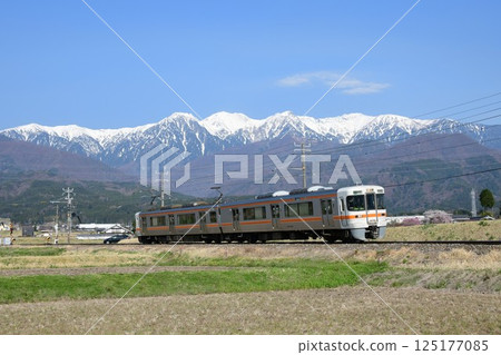 313系3000型飯田線列車以中央阿爾卑斯山為背景行駛 125177085