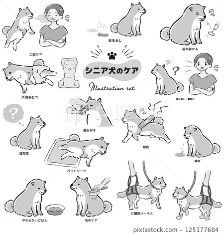 高級犬護理插圖集 125177684