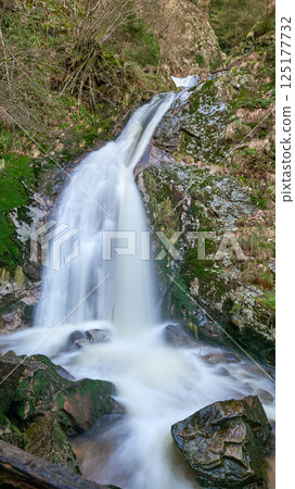 Misty Allerheiligen Waterfalls in Black Forest National Park, Germany. Scenic forest waterfall Allerheiligen Waterfalls in National Park SCHWARZWALD, Germany. Long exposure shot of a cascading 125177732