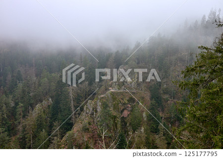 SCHWARZWALD - Dramatic foggy mountain landscape with dense evergreen forest and rocky cliffs in the Black Forest Germany, mystical mist-covered wilderness with towering pine trees and rugged terrain 125177795