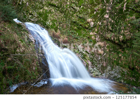 Misty Allerheiligen Waterfalls in Black Forest National Park, Germany. Scenic forest waterfall Allerheiligen Waterfalls in National Park SCHWARZWALD, Germany. Long exposure shot of a cascading 125177854