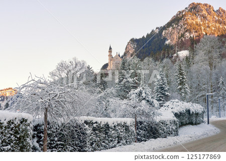 Neuschwanstein Castle in Snowy Winter Forest with Gothic and Renaissance Architecture, Surrounded by Snow-Laden Evergreen Trees and Clear Blue Sky on a Tranquil Morning 125177869