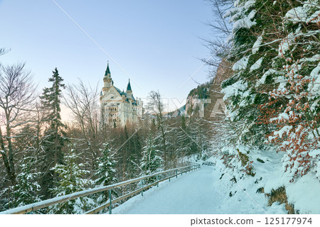 Neuschwanstein Castle Perched on Misty Alpine Peak Overlooking Serene Bavarian Landscape at Dawn Enchanting Fairytale Architecture Meets Natural Splendor in Iconic German Landmark 125177974