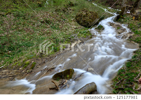Serene Forest Stream Cascades Through Lush Green Woodland Creating Tranquil Oasis For Nature Lovers And Mindfulness Seekers. 125177981