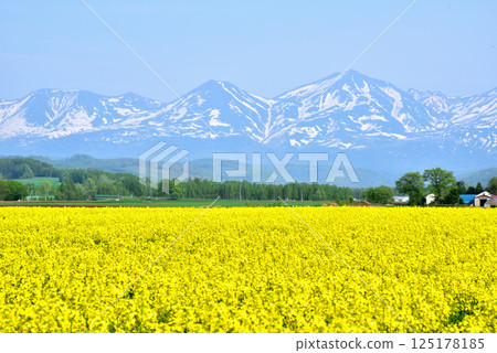 View of snow-capped Tokachi mountain range from Biei - Biei town in early summer View of snow-capped Tokachi mountain range from Biei - Biei town in early summer 125178185