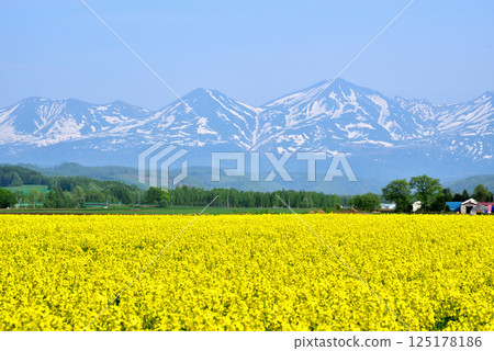 從美瑛眺望白雪皚皚的十勝山脈-初夏的美瑛町 從美瑛眺望白雪皚皚的十勝山脈-初夏的美瑛町 125178186