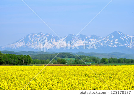 View of snow-capped Tokachi mountain range from Biei - Biei town in early summer View of snow-capped Tokachi mountain range from Biei - Biei town in early summer 125178187