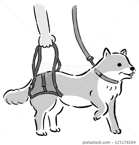 Hand-drawn illustration of a senior dog using a walking belt 125178264
