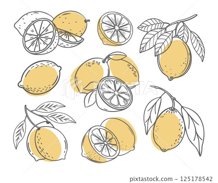 Lemon fruit outline set. Collection of lemon sketches with yellow spots. Hand drawn doodle style illustration Lemon fruit outline set. Collection of lemon sketches with yellow spots. Hand drawn doodle style illustration 125178542