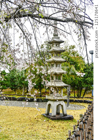 西尾市歷史公園（4月上旬） 舊近衛宅邸庭園內的五層石塔 125178641