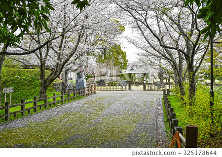 西尾市歷史公園（四月初） 125178644