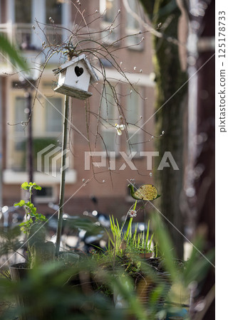 Birdhouse and Greenery in Amsterdam Street Birdhouse and Greenery in Amsterdam Street 125178733