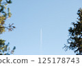 Jet Contrail in Clear Blue Sky Framed by Trees 125178743