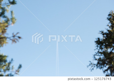 Jet Contrail in Clear Blue Sky Framed by Trees Jet Contrail in Clear Blue Sky Framed by Trees 125178743