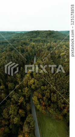 Drone aerial view with road passing through Black Forest, Germany 125178858