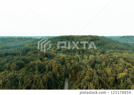Drone aerial view with the Black Forest in a cold morning day Drone aerial view with the Black Forest in a cold morning day 125178859