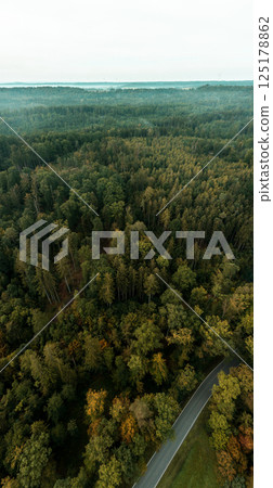 Drone vertical panorama with forest in morning Drone vertical panorama with forest in morning 125178862
