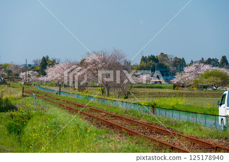 Isumi Railway: A peaceful rural landscape in spring, Niitano, Isumi City 125178940