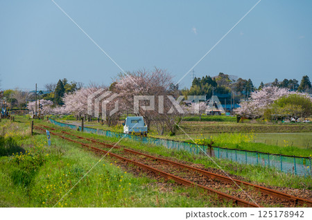 夷隅鐵道:夷隅市新板野,春天寧靜的田園風光 夷隅鐵道:夷隅市新板野,春天寧靜的田園風光 125178942
