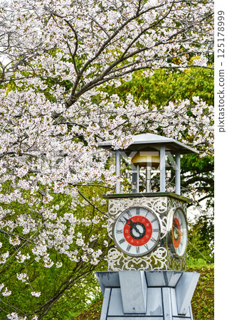 西尾市歷史公園(4月上旬)大名櫓式鐘樓 西尾市歷史公園(4月上旬)大名櫓式鐘樓 125178999