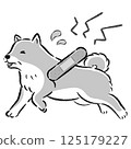 一隻受傷的老年犬，表情憂慮的插圖 125179227