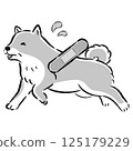 一隻受傷的老年犬，表情憂慮的插圖 125179229