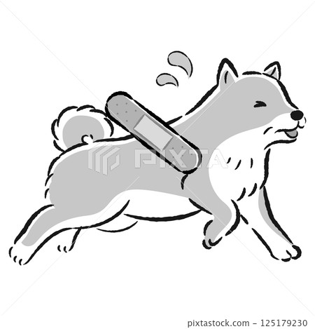 Illustration of an injured senior dog with a troubled expression 125179230