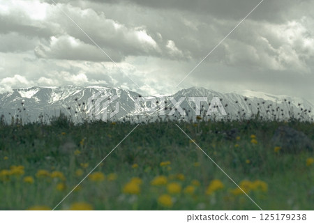 View of the peaks of the Altai Mountains from the Kurai steppe 125179238