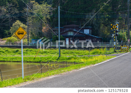 寧靜的道路:夷隅鐵路道口 寧靜的道路:夷隅鐵路道口 125179328