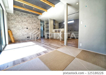 Stylish living of a pet living designer house 125180226