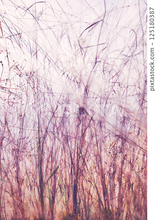 Blurred photo of grass and plants behind the foil, abstract background. 125180387