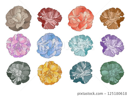 Colorful Multicolored Abstract Wavy Flowers Line Drawing Peony Flowers Various Colors, Intricate Line Art Details, Elegant Floral Modern Design Isolated Vector Collection 125180618