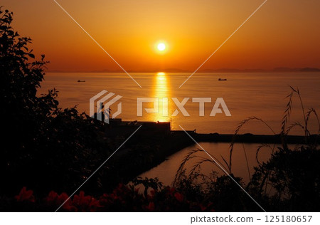 View of the sunset from Shiroyama Park, the site of Kawanoe Castle, Shikokuchuo City, Ehime Prefecture 125180657