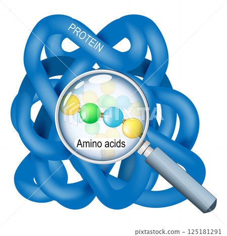 Close-up of protein molecule and chain of amino acids 125181291