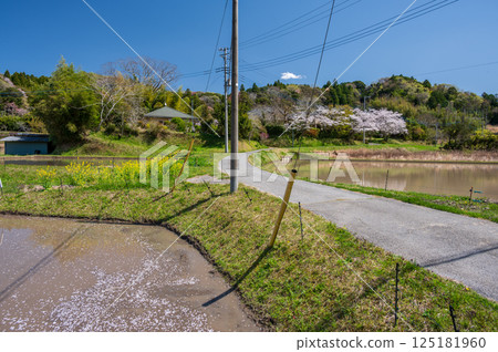 Idyllic spring scenery: Ichihara countryside 125181960