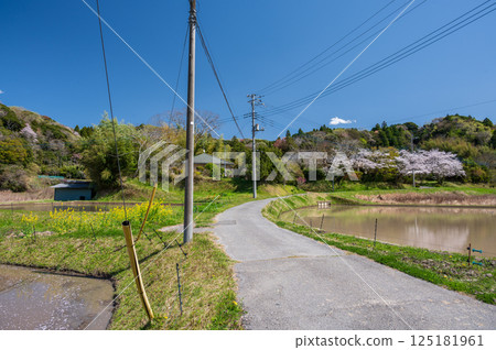 田園春光:市原鄉村 田園春光:市原鄉村 125181961