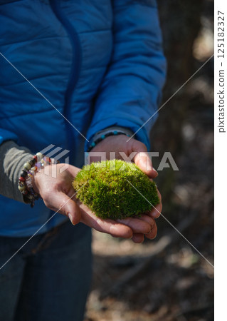 Green moss in the form of a ball in his hands 125182327