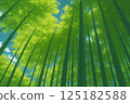 An illustration inspired by the bamboo forest in Arashiyama, Kyoto 125182588