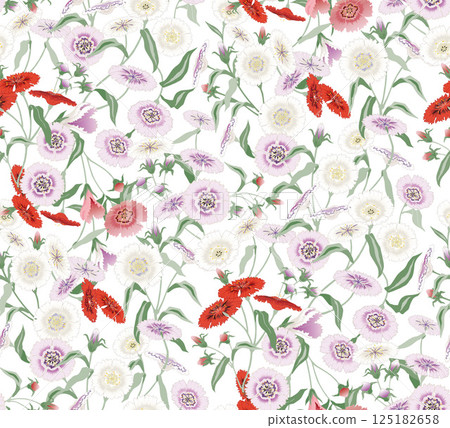 A Colorful Field of Blooming Dianthus Flowers. Vector illustration of a seamless pattern A Colorful Field of Blooming Dianthus Flowers. Vector illustration of a seamless pattern 125182658