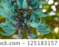 Honeysuckle 125183157