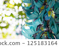 Honeysuckle 125183164