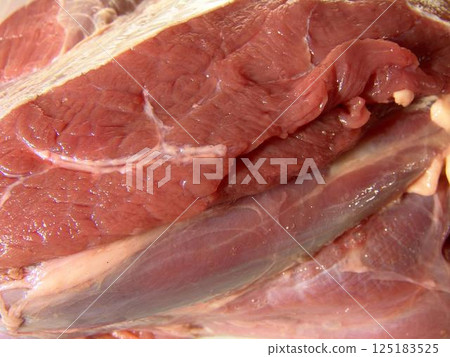 Raw meat ready for cooking close view background Raw meat ready for cooking close view background 125183525